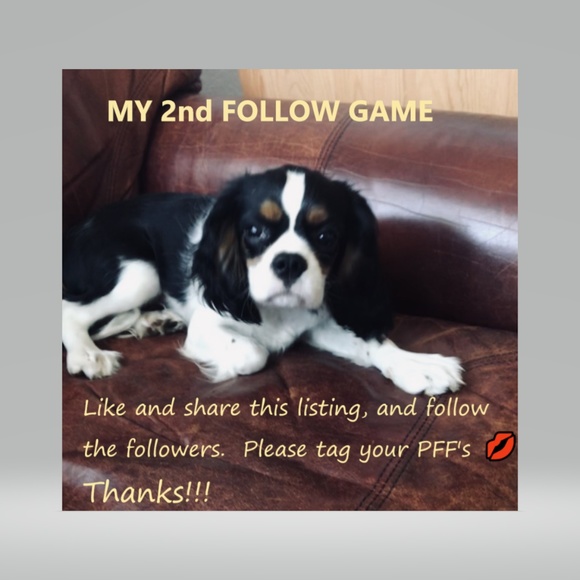 MY 2nd FOLLOW GAME - Picture 2 of 8